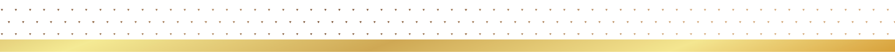gold-bar-separator-large security solutions